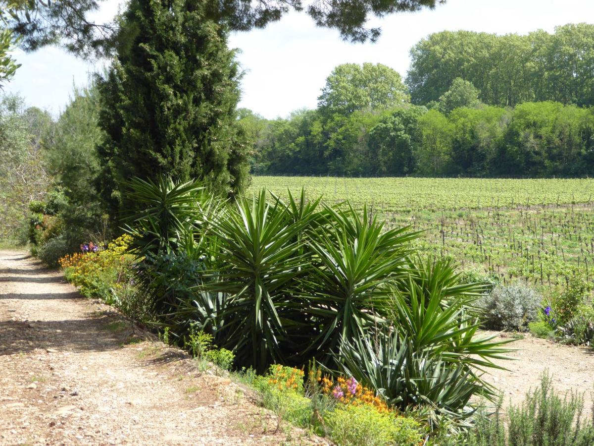 Domaine de l’Herbe Sainte Mirepeisset Exterior foto