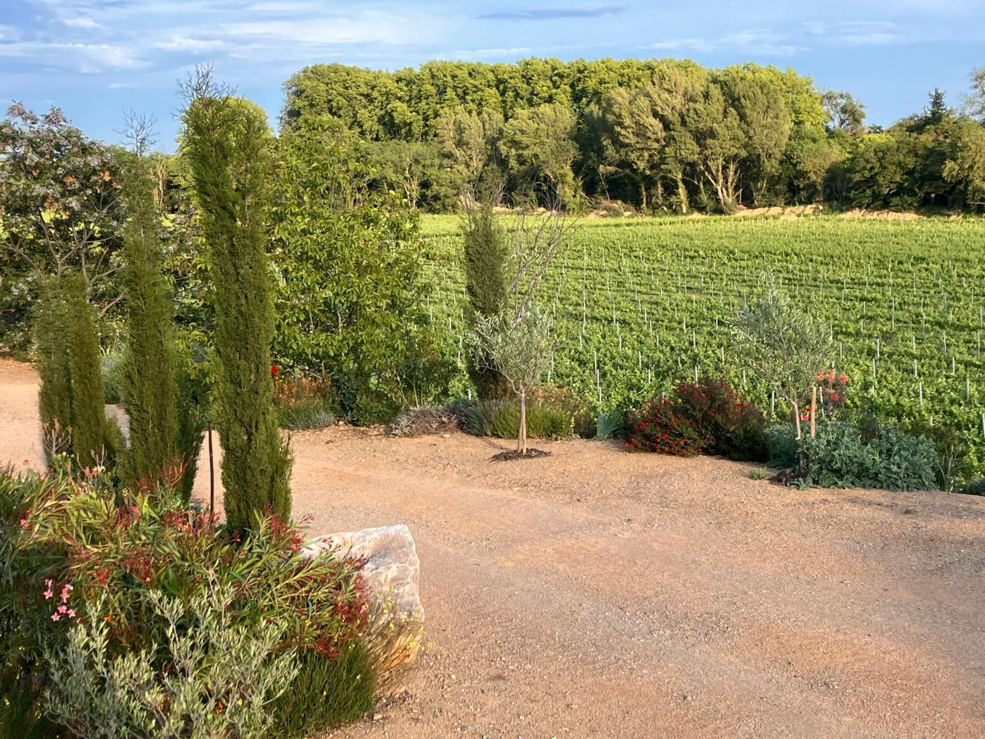 Domaine de l’Herbe Sainte Mirepeisset Exterior foto